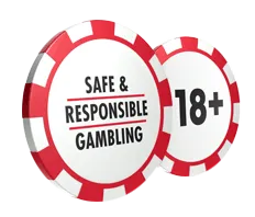 Responsible-Gambling vavada-kasyno-pl.ink